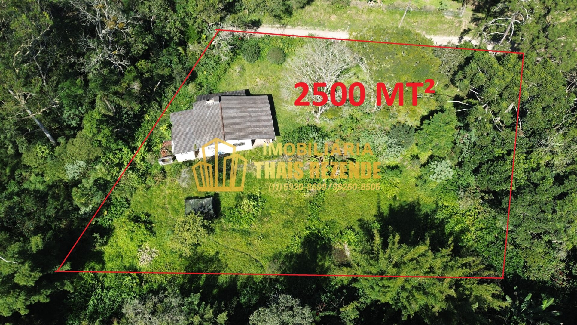 DCIM100MEDIADJI_0207.JPG